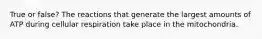True or false? The reactions that generate the largest amounts of ATP during cellular respiration take place in the mitochondria.