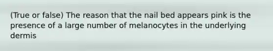 (True or false) The reason that the nail bed appears pink is the presence of a large number of melanocytes in the underlying dermis