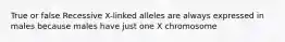 True or false Recessive X-linked alleles are always expressed in males because males have just one X chromosome