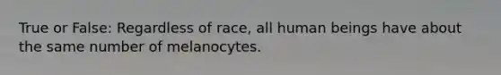 True or False: Regardless of race, all human beings have about the same number of melanocytes.