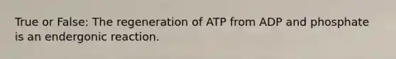 True or False: The regeneration of ATP from ADP and phosphate is an endergonic reaction.