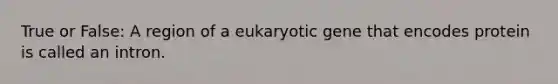 True or False: A region of a eukaryotic gene that encodes protein is called an intron.