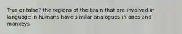 True or false? the regions of the brain that are involved in language in humans have similar analogues in apes and monkeys