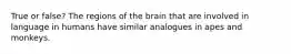 True or false? The regions of the brain that are involved in language in humans have similar analogues in apes and monkeys.