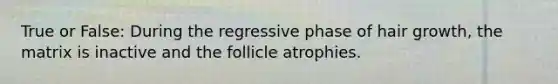 True or False: During the regressive phase of hair growth, the matrix is inactive and the follicle atrophies.