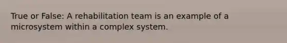 True or False: A rehabilitation team is an example of a microsystem within a complex system.