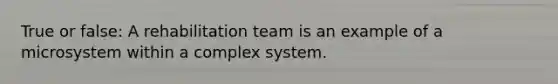 True or false: A rehabilitation team is an example of a microsystem within a complex system.