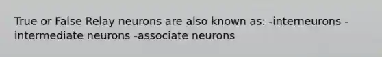 True or False Relay neurons are also known as: -interneurons -intermediate neurons -associate neurons