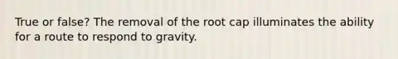 True or false? The removal of the root cap illuminates the ability for a route to respond to gravity.