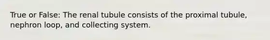 True or False: The renal tubule consists of the proximal tubule, nephron loop, and collecting system.