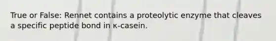 True or False: Rennet contains a proteolytic enzyme that cleaves a specific peptide bond in κ-casein.