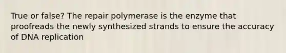 True or false? The repair polymerase is the enzyme that proofreads the newly synthesized strands to ensure the accuracy of DNA replication