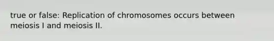 true or false: Replication of chromosomes occurs between meiosis I and meiosis II.