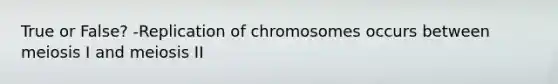 True or False? -Replication of chromosomes occurs between meiosis I and meiosis II