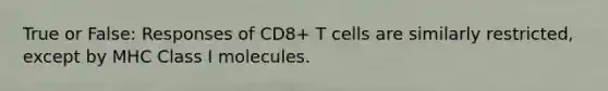 True or False: Responses of CD8+ T cells are similarly restricted, except by MHC Class I molecules.