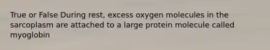 True or False During rest, excess oxygen molecules in the sarcoplasm are attached to a large protein molecule called myoglobin