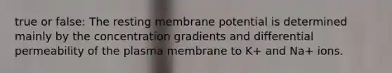 true or false: The resting membrane potential is determined mainly by the concentration gradients and differential permeability of the plasma membrane to K+ and Na+ ions.