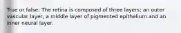 True or false: The retina is composed of three layers; an outer vascular layer, a middle layer of pigmented epithelium and an inner neural layer.