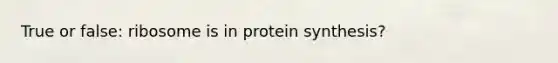 True or false: ribosome is in protein synthesis?