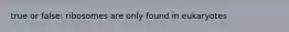 true or false: ribosomes are only found in eukaryotes
