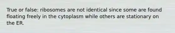 True or false: ribosomes are not identical since some are found floating freely in the cytoplasm while others are stationary on the ER.