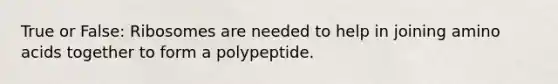 True or False: Ribosomes are needed to help in joining amino acids together to form a polypeptide.