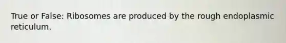 True or False: Ribosomes are produced by the rough endoplasmic reticulum.