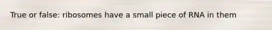 True or false: ribosomes have a small piece of RNA in them