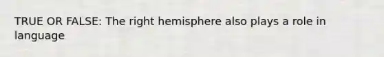 TRUE OR FALSE: The right hemisphere also plays a role in language