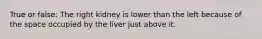 True or false: The right kidney is lower than the left because of the space occupied by the liver just above it.
