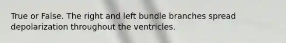 True or False. The right and left bundle branches spread depolarization throughout the ventricles.