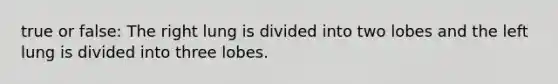 true or false: The right lung is divided into two lobes and the left lung is divided into three lobes.