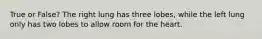 True or False? The right lung has three lobes, while the left lung only has two lobes to allow room for the heart.