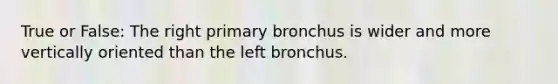 True or False: The right primary bronchus is wider and more vertically oriented than the left bronchus.