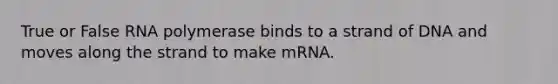 True or False RNA polymerase binds to a strand of DNA and moves along the strand to make mRNA.