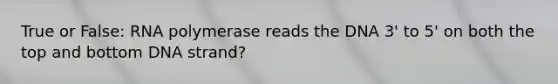 True or False: RNA polymerase reads the DNA 3' to 5' on both the top and bottom DNA strand?