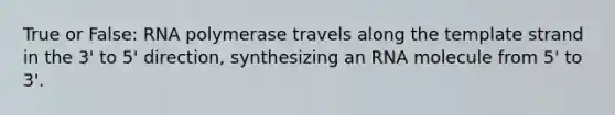 True or False: RNA polymerase travels along the template strand in the 3' to 5' direction, synthesizing an RNA molecule from 5' to 3'.