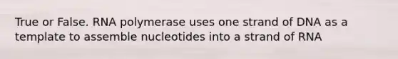 True or False. RNA polymerase uses one strand of DNA as a template to assemble nucleotides into a strand of RNA