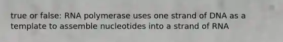 true or false: RNA polymerase uses one strand of DNA as a template to assemble nucleotides into a strand of RNA