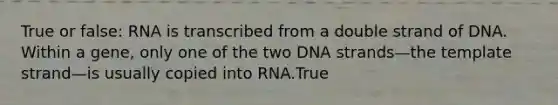 True or false: RNA is transcribed from a double strand of DNA. Within a gene, only one of the two DNA strands—the template strand—is usually copied into RNA.True