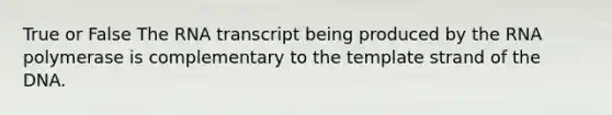 True or False The RNA transcript being produced by the RNA polymerase is complementary to the template strand of the DNA.