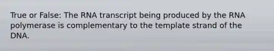 True or False: The RNA transcript being produced by the RNA polymerase is complementary to the template strand of the DNA.