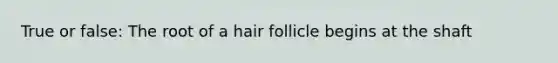 True or false: The root of a hair follicle begins at the shaft