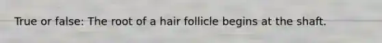 True or false: The root of a hair follicle begins at the shaft.