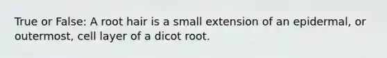 True or False: A root hair is a small extension of an epidermal, or outermost, cell layer of a dicot root.