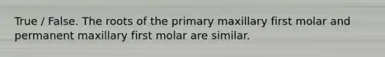 True / False. The roots of the primary maxillary first molar and permanent maxillary first molar are similar.