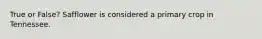 True or False? Safflower is considered a primary crop in Tennessee.