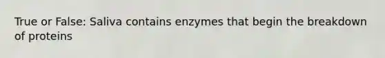 True or False: Saliva contains enzymes that begin the breakdown of proteins