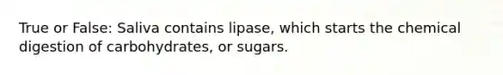 True or False: Saliva contains lipase, which starts the chemical digestion of carbohydrates, or sugars.