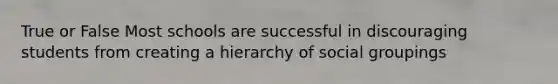 True or False Most schools are successful in discouraging students from creating a hierarchy of social groupings